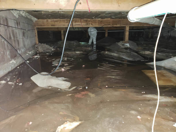 Trusted Water Damage Restoration in Chanhassen, MN | Fast, Reliable, and Ready to Assist You